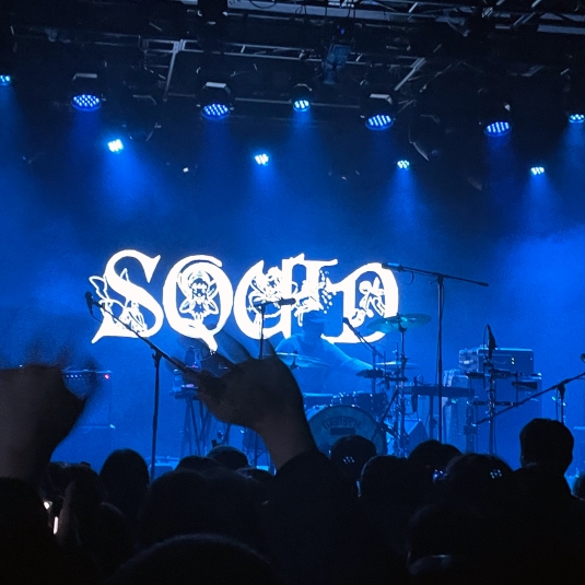 Squid – A korean concert experience